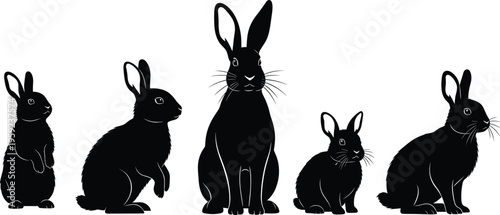 Rabbit silhouette collection showing different poses isolated on white background cute animal vector illustration for design branding projects
