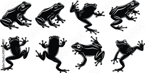 Set of black frog silhouettes collection amphibian vector illustration isolated on white background wildlife animal poses detailed minimal design