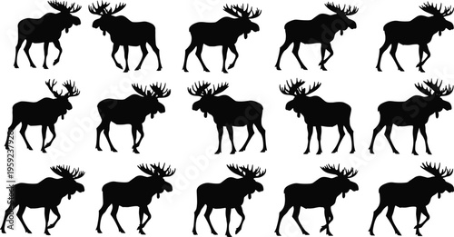Set of moose silhouettes walking poses isolated on white background wildlife animal vector collection for design branding illustration stock use