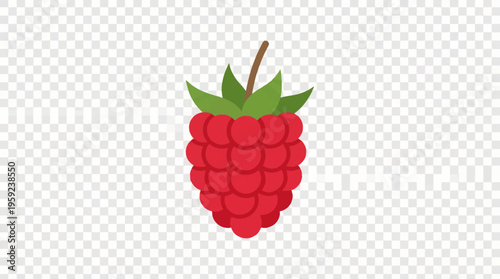 A vibrant, stylized illustration of a single red raspberry with green leaves and a brown stem on a transparent background.