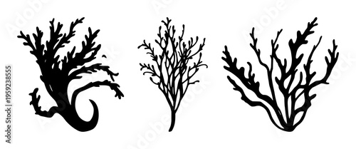 Seaweed set with green seaweed silhouette against ocean backdrop featuring marine life, underwater flora, wave motion with aquamarine shine and coral reefs