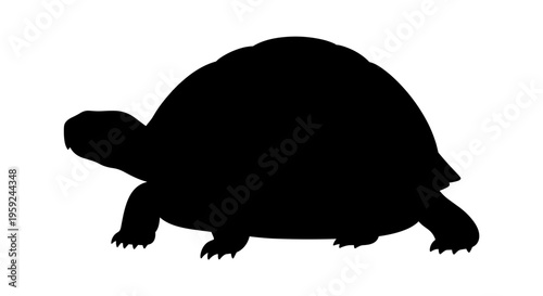 Turtle Silhouette Walking Alone.