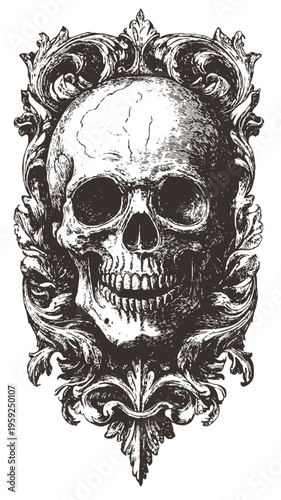 A black and white illustration of a human skull isolated on transparent background