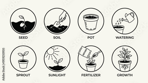 "Minimal line icons of plant growth stages including seed, soil, pot, watering, sprout, sun, fertilizer, mature plant."