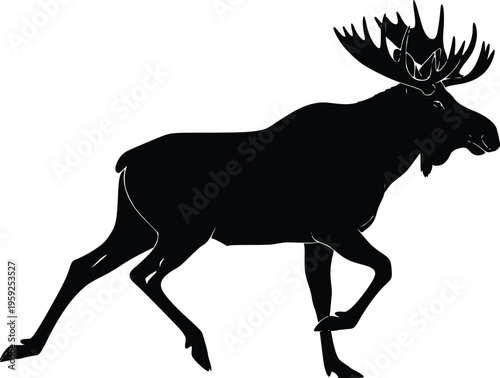 Vector silhouette of a majestic moose with large antlers walking in the wild.