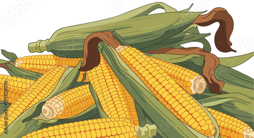 Adobe Illustrator Artwork