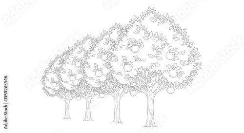 Orchard Row: Line Art Apple Trees with Fruit, Simple Illustration
