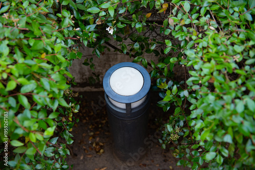 A subtle garden pathway light hidden within lush bushes.