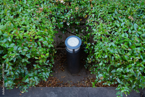 A subtle garden pathway light hidden within lush bushes.