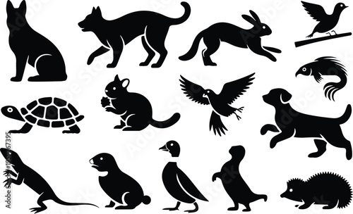 Pets Silhouette Icon Collection Set