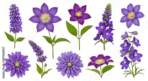 Vibrant purple flowers bloom in various shapes and sizes