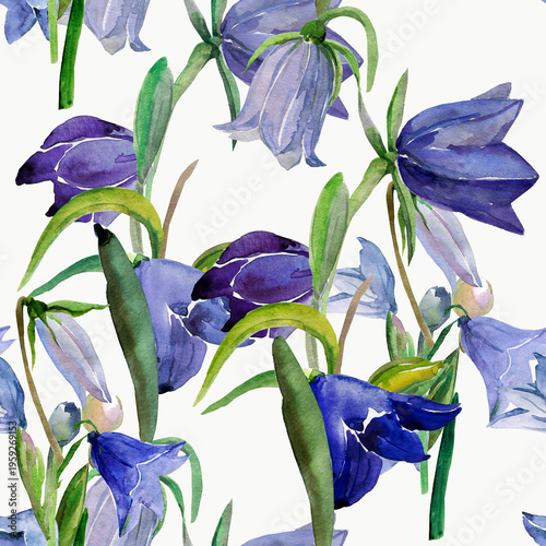 Spring wildflowers. Image on white and colored background. Seamless pattern.