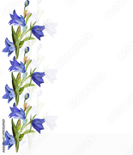 Spring wildflowers. Image on white and colored background. Pattern.