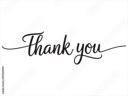 Thank you. Wavy elegant calligraphy spelling for decoration, Thank you text lettering vector, handwritten script typography illustration
