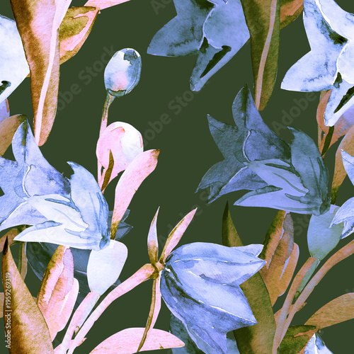 Spring wildflowers. Image on white and colored background. Seamless pattern.