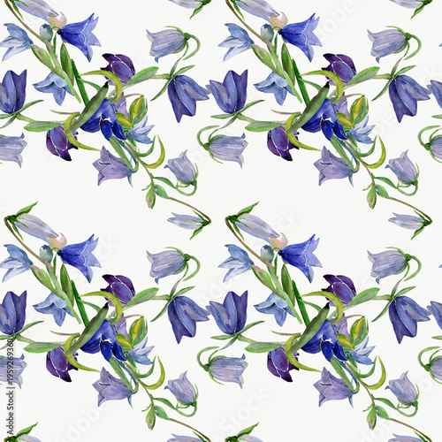 Spring wildflowers. Image on white and colored background. Seamless pattern.