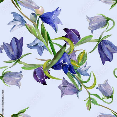 Spring wildflowers. Image on white and colored background. Seamless pattern.