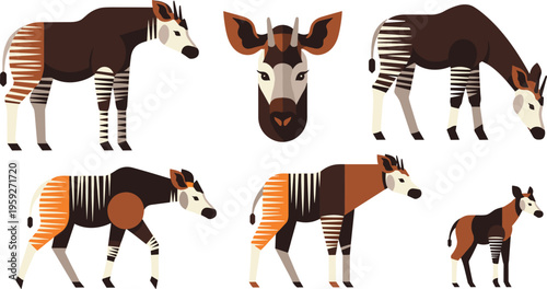 Okapi Animal Cartoon Character Set Featuring Different Poses Standing Walking and African Wildlife Illustration Collection for Nature and Safari Design