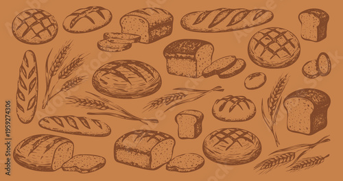 Collection of vintage sourdough bread bakery hand-drawn sketch style; rustic artisan loaves and wheat stalks vector illustration drawing set for organic background
