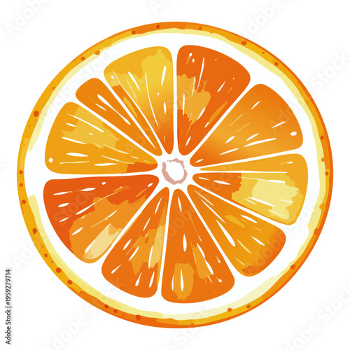 水彩画風のオレンジの断面