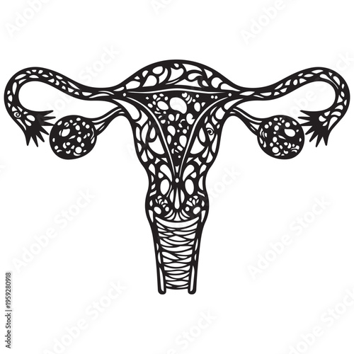 Female reproductive system silhouette intricate ornate design vector art isolated on transparent background