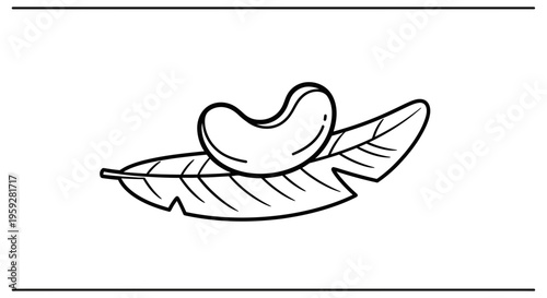 Cashew Nut on a Leaf, Hand-Drawn Outline Illustration, Healthy Food Icon