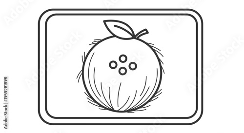 Coconut Icon Outline Vector Illustration with Four Dots