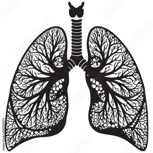 Human lungs silhouette illustration with bronchial tree detail isolated on transparent background
