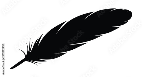 A single black feather isolated on a plain white background