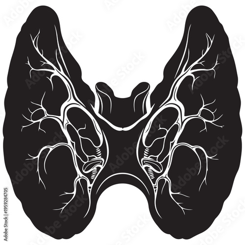 Human thyroid gland silhouette medical illustration isolated on transparent background