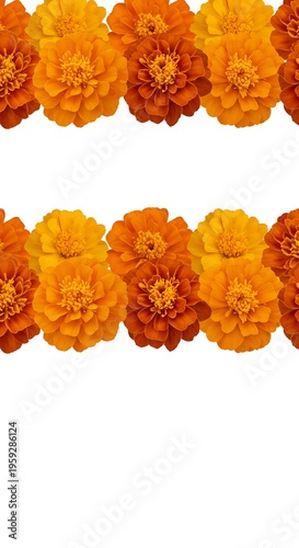 Marigold Tapestry: A Floral Border
