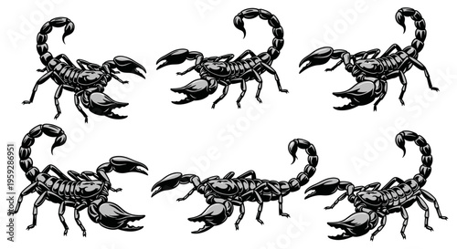 Scorpion Pattern - Dark Silhouettes on White Background