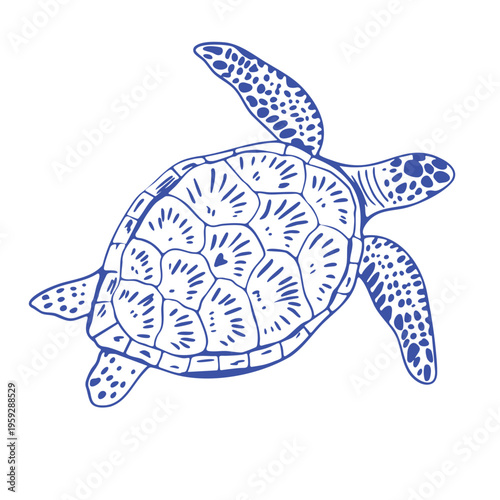 Hand-drawn turtle in trendy dolce vita style. Minimalist Mediterranean summer illustration with  blue outlinу. Seaside vibes, vacation mood and coastal aesthetics. Modern doodle vector isolated