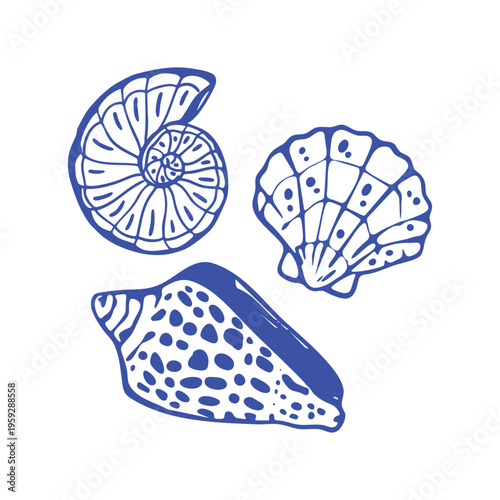 Hand-drawn shells in trendy dolce vita style. Minimalist Mediterranean summer illustration with  blue outlinу. Seaside vibes, vacation mood and coastal aesthetics. Modern doodle vector isolated