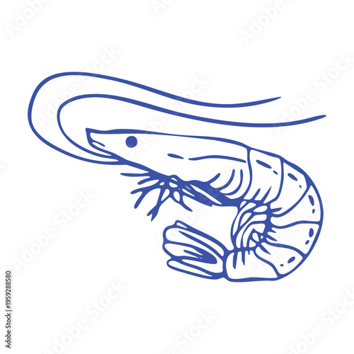 Hand-drawn shrimp in trendy dolce vita style. Minimalist Mediterranean summer illustration with  blue outlinу. Seaside vibes, vacation mood and coastal aesthetics. Modern doodle vector isolated