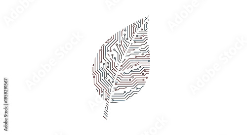 A detailed illustration of a leaf.