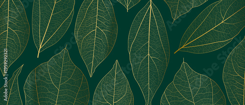 Leaf vein skeleton texture abstract background with close up plant leaf cells ornament texture pattern. Black and white organic macro linear background of nature leaf foliage vector illustration.
