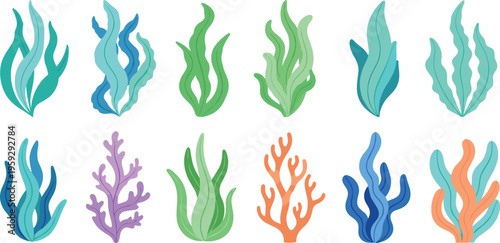 Large Collection of Stylized Underwater Marine Vegetation Vector Illustrations Featuring Colorful Kelp Seaweed and Coral Reef Plants for Coastal Scene Design