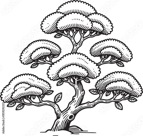 Line art illustration of a young newly planted bush with sparse branches and fresh small leaves just sprouting, detailed botanical drawing, black outline on white background.