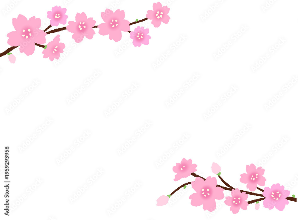 Fototapeta premium pink cherry blossom