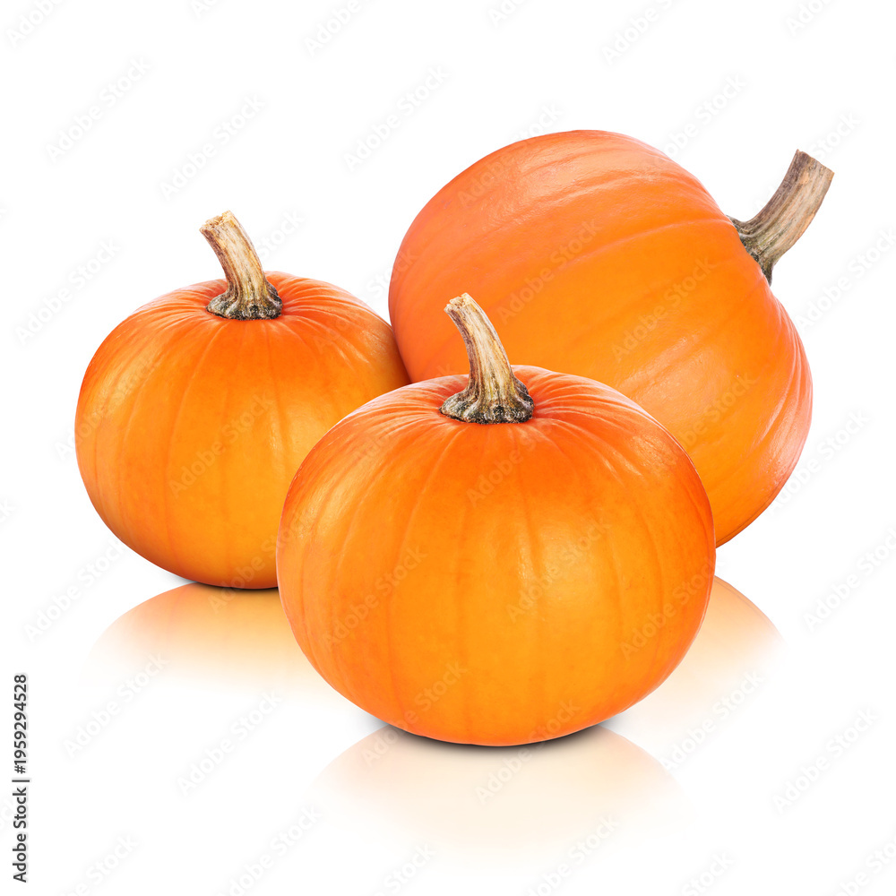 Obraz premium Fresh ripe pumpkins on white background. Gourd vegetable