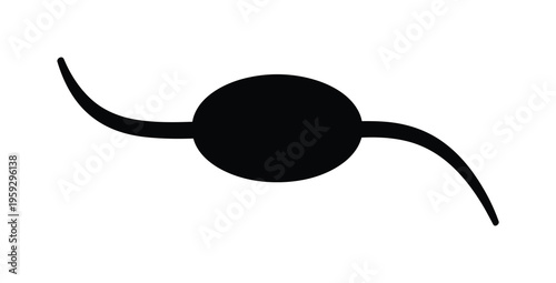 Minimalistic vector of a black sperm cell with a smooth oval head and two curved tails