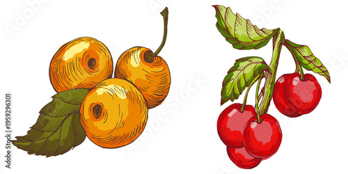 Vibrant Colorful Cherries Illustration. Ripe Red Sweet Cherry Fruit with Green Leaves. Creative Artistic Food Design for Summer Branding and Healthy Lifestyle
