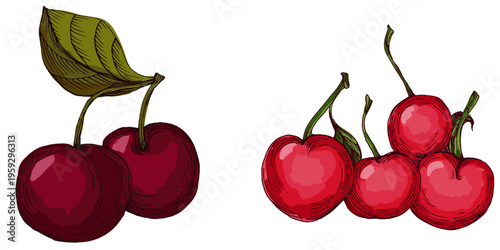 Vibrant Colorful Cherries Illustration. Ripe Red Sweet Cherry Fruit with Green Leaves. Creative Artistic Food Design for Summer Branding and Healthy Lifestyle