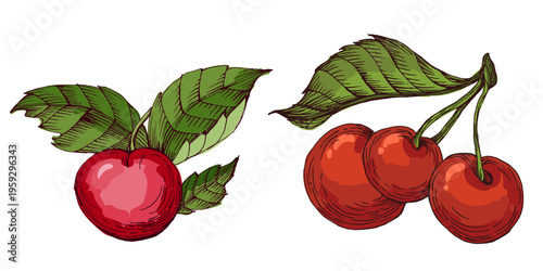 Vibrant Colorful Cherries Illustration. Ripe Red Sweet Cherry Fruit with Green Leaves. Creative Artistic Food Design for Summer Branding and Healthy Lifestyle