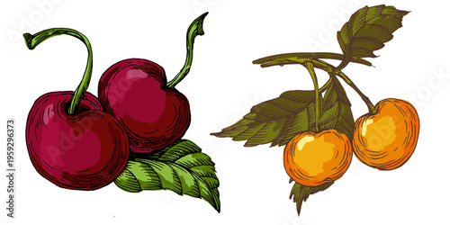 Vibrant Colorful Cherries Illustration. Ripe Red Sweet Cherry Fruit with Green Leaves. Creative Artistic Food Design for Summer Branding and Healthy Lifestyle