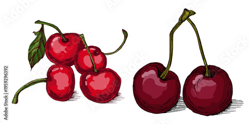Vibrant Colorful Cherries Illustration. Ripe Red Sweet Cherry Fruit with Green Leaves. Creative Artistic Food Design for Summer Branding and Healthy Lifestyle