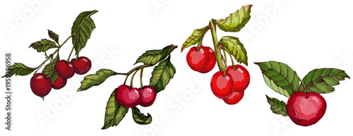 Vibrant Colorful Cherries Illustration. Ripe Red Sweet Cherry Fruit with Green Leaves. Creative Artistic Food Design for Summer Branding and Healthy Lifestyle