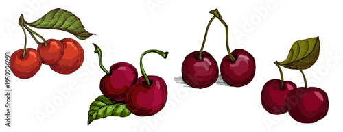 Vibrant Colorful Cherries Illustration. Ripe Red Sweet Cherry Fruit with Green Leaves. Creative Artistic Food Design for Summer Branding and Healthy Lifestyle