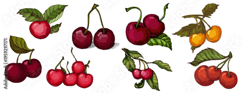 Vibrant Colorful Cherries Illustration. Ripe Red Sweet Cherry Fruit with Green Leaves. Creative Artistic Food Design for Summer Branding and Healthy Lifestyle